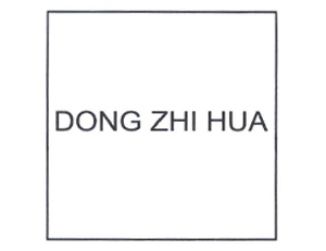 Dong Zhi Hua