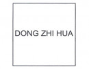 Dong Zhi Hua