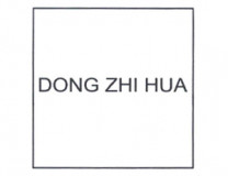 Dong Zhi Hua
