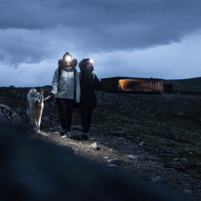 Рюкзак велосипедный с гидратором Thule AllTrail, 10L, Faded Khaki