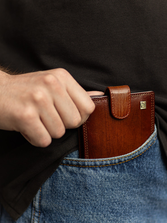 Портмоне мужское Cosset F14-327-1435B коричневое