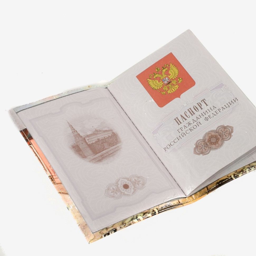 Обложка для паспорта 02-006-018-9 "Грифоны, Банковский мост"