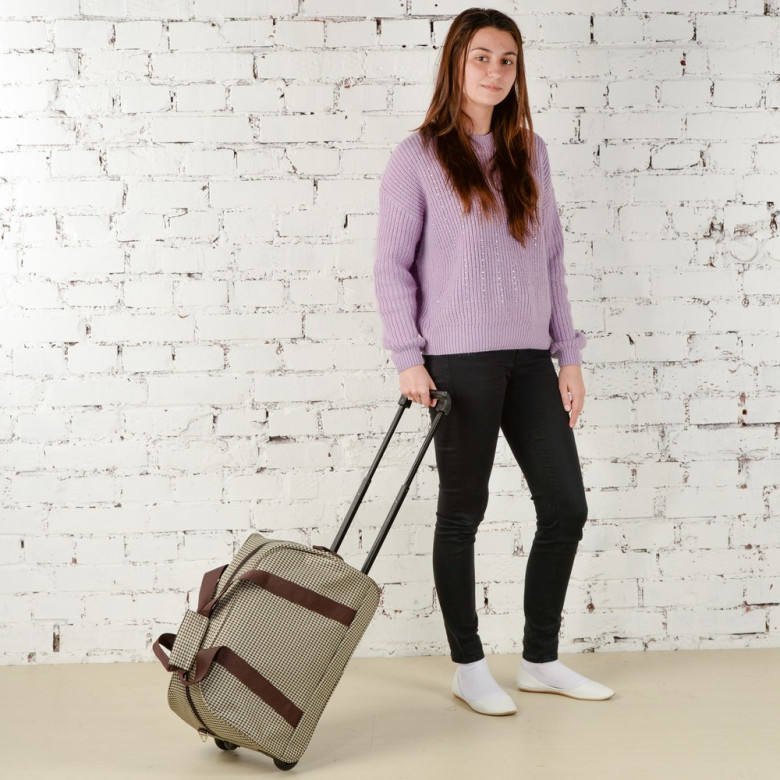 Сумка дорожная Voyage 6-293 кошки